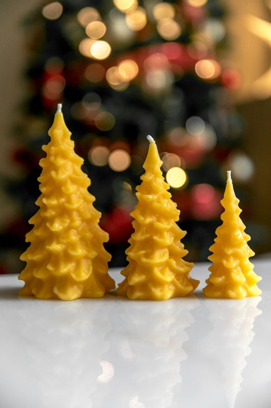 Coffret de bougies en forme d'arbre à trois pins