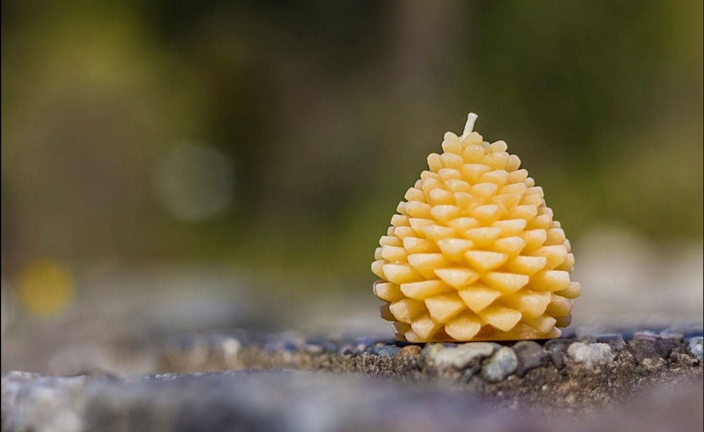 Pine Cone Candle